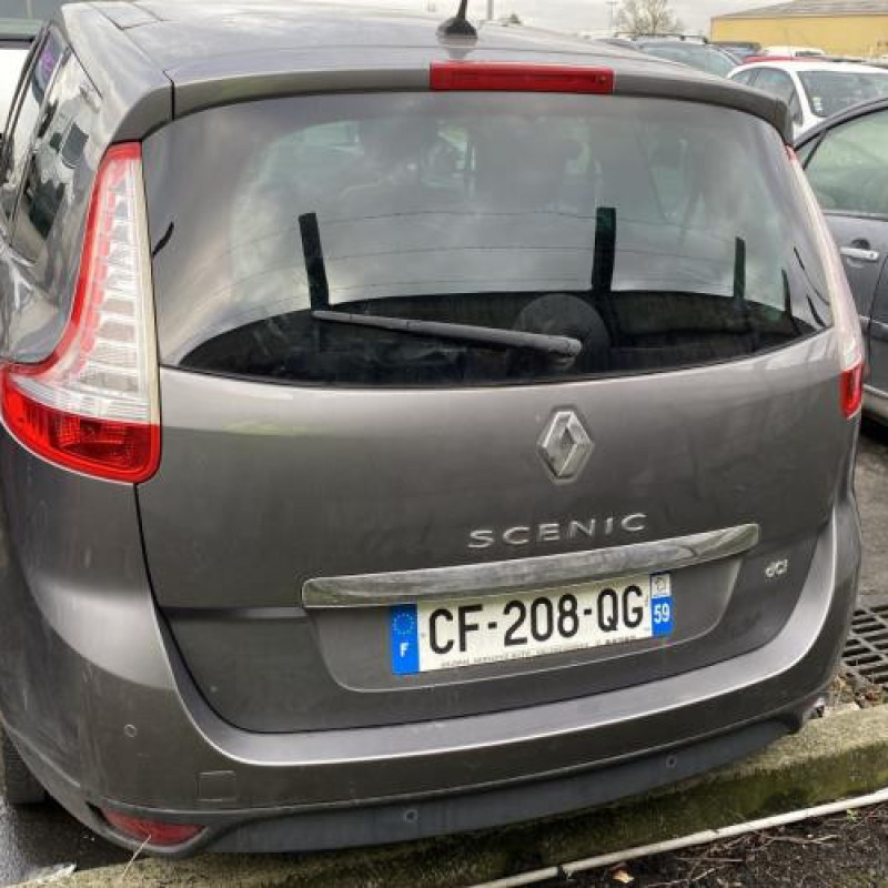 Porte arriere gauche RENAULT SCENIC 3 Photo n°12