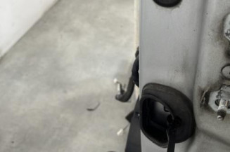 Porte avant gauche RENAULT SCENIC 3