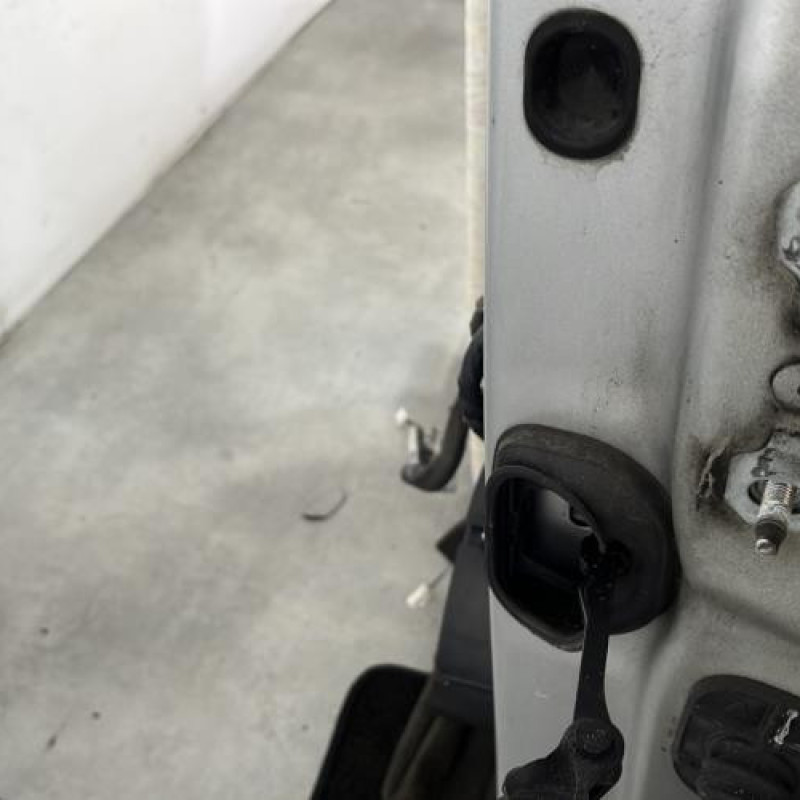 Porte avant gauche RENAULT SCENIC 3 Photo n°2