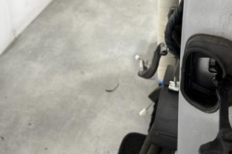 Porte avant gauche RENAULT SCENIC 3