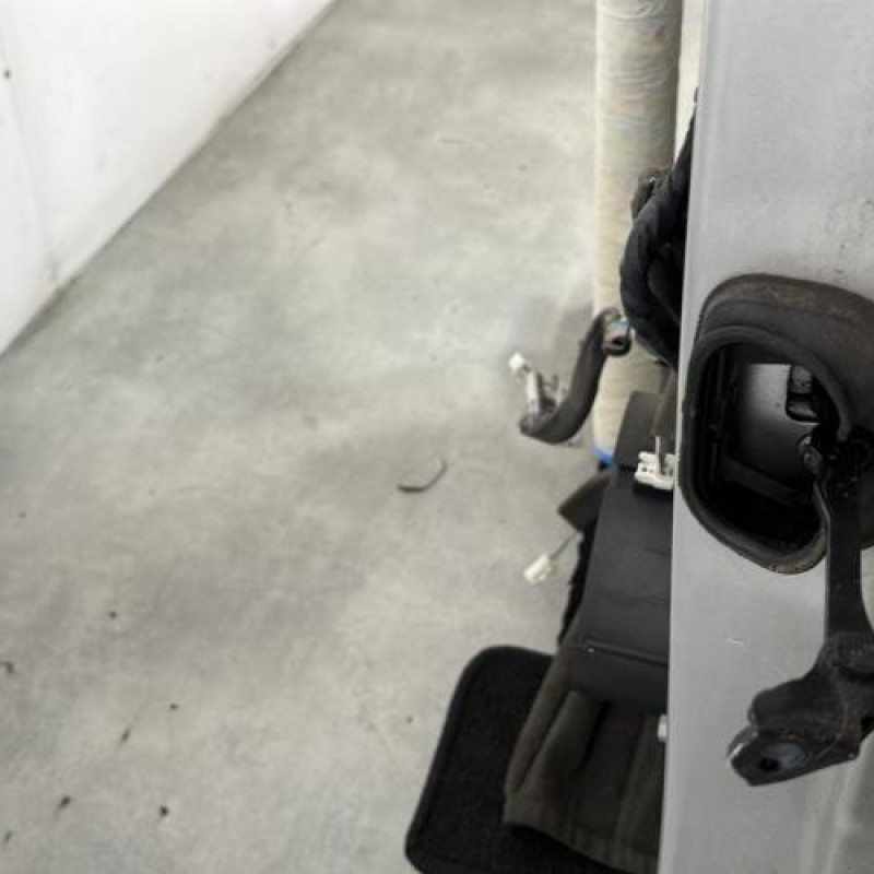 Porte avant gauche RENAULT SCENIC 3 Photo n°3