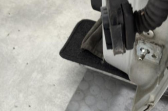 Porte avant gauche RENAULT SCENIC 3