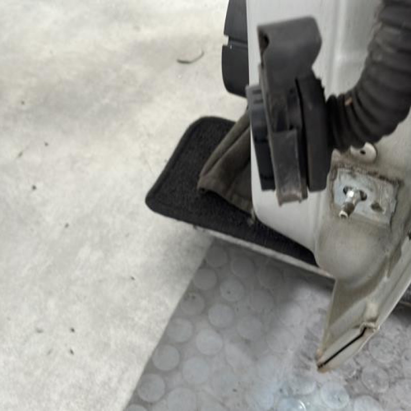Porte avant gauche RENAULT SCENIC 3 Photo n°4