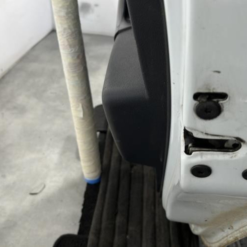 Porte arriere droit DACIA DUSTER 1 Photo n°3