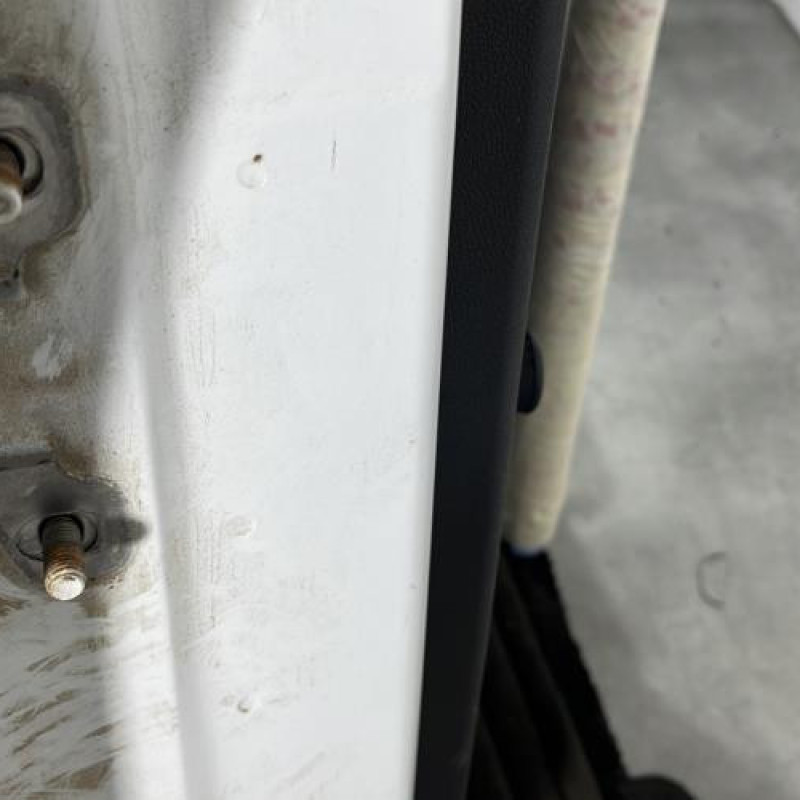 Porte arriere droit DACIA DUSTER 1 Photo n°4