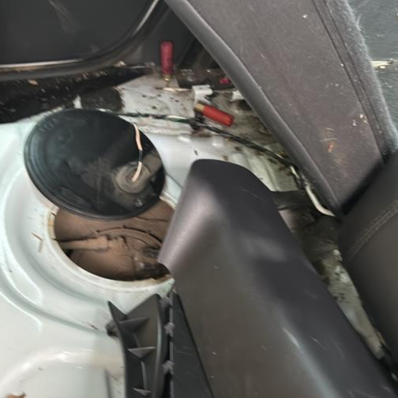 Porte arriere droit DACIA DUSTER 1 Photo n°17