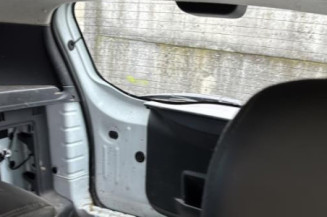 Porte arriere droit DACIA DUSTER 1
