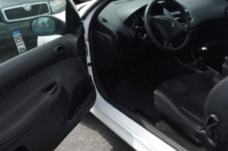 Aile avant droit PEUGEOT 206+