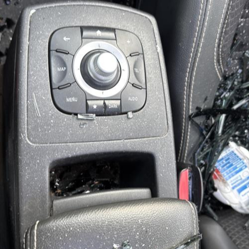 Etrier arriere gauche (freinage) RENAULT SCENIC 3 Photo n°19