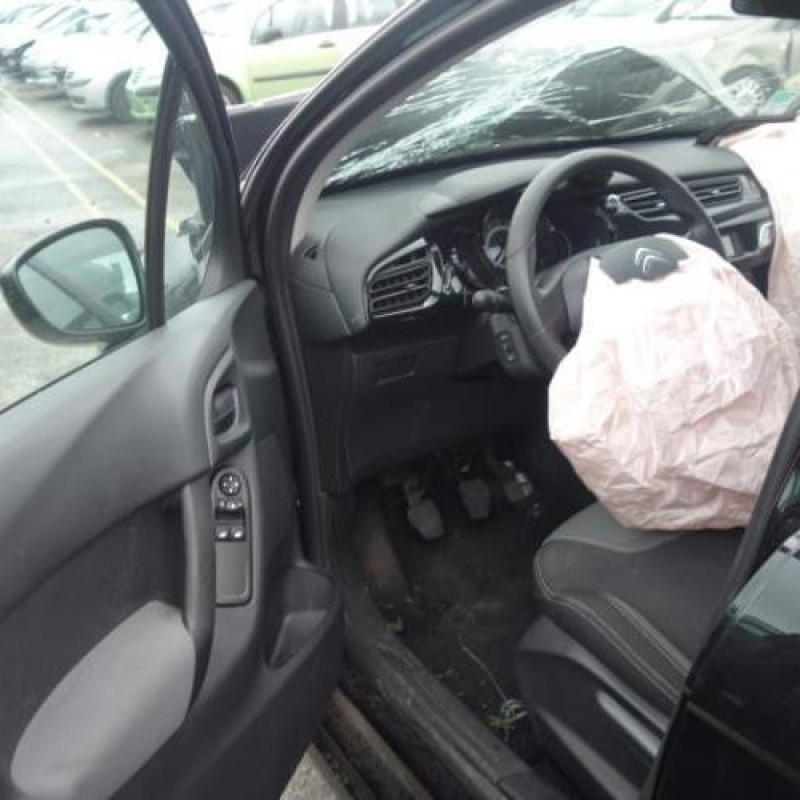 Porte avant gauche CITROEN C3 2 Photo n°5