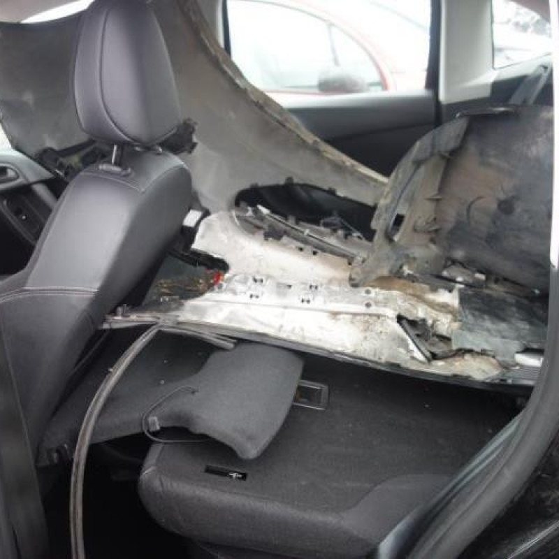 Porte avant gauche CITROEN C3 2 Photo n°6
