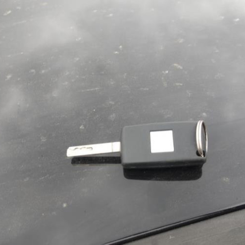 Porte avant gauche CITROEN C3 2 Photo n°10