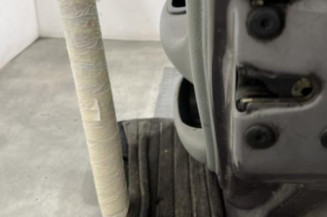 Porte arriere droit RENAULT CLIO 2