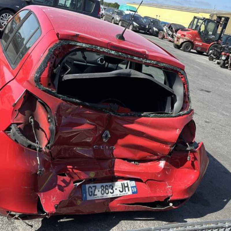 Porte avant droit RENAULT CLIO 3 Photo n°11
