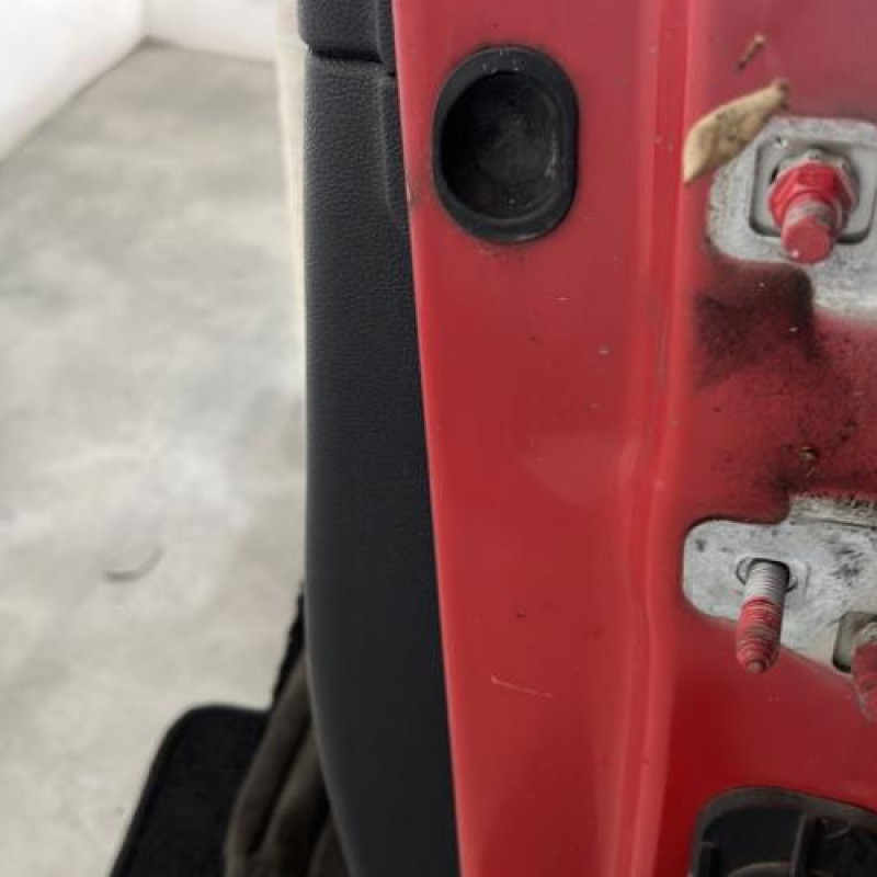 Porte avant gauche RENAULT CLIO 3 Photo n°4