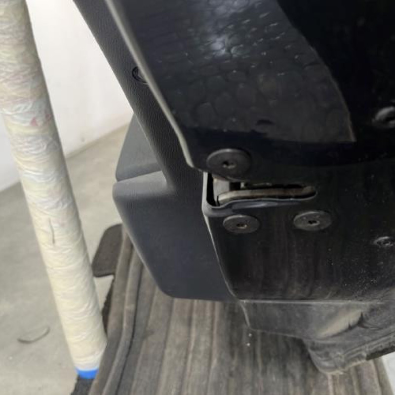 Porte arriere droit RENAULT MEGANE 3 Photo n°3
