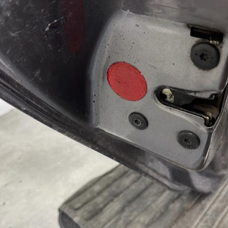 Porte arriere gauche RENAULT CLIO 2 Photo n°4