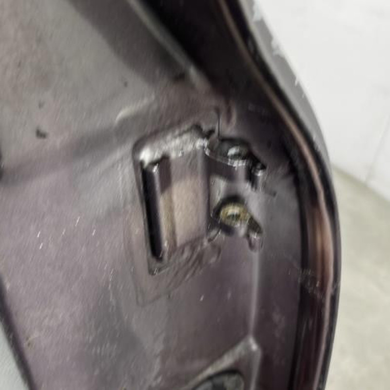 Porte arriere gauche RENAULT CLIO 2 Photo n°6