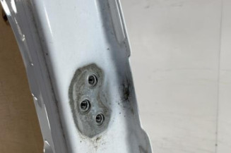 Porte de coffre gauche FORD TRANSIT 5