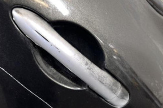 Porte arriere gauche RENAULT CLIO 3