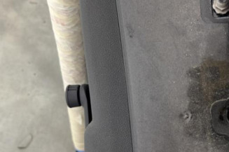 Porte arriere gauche RENAULT CLIO 3