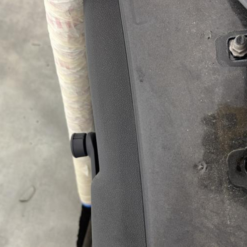 Porte arriere gauche RENAULT CLIO 3 Photo n°3
