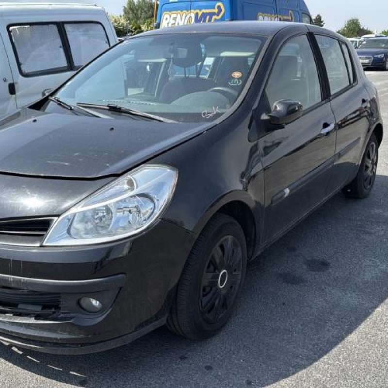 Porte arriere gauche RENAULT CLIO 3 Photo n°6