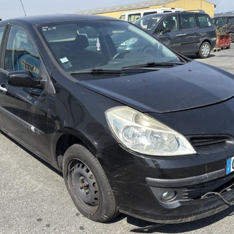 Porte arriere gauche RENAULT CLIO 3 Photo n°7