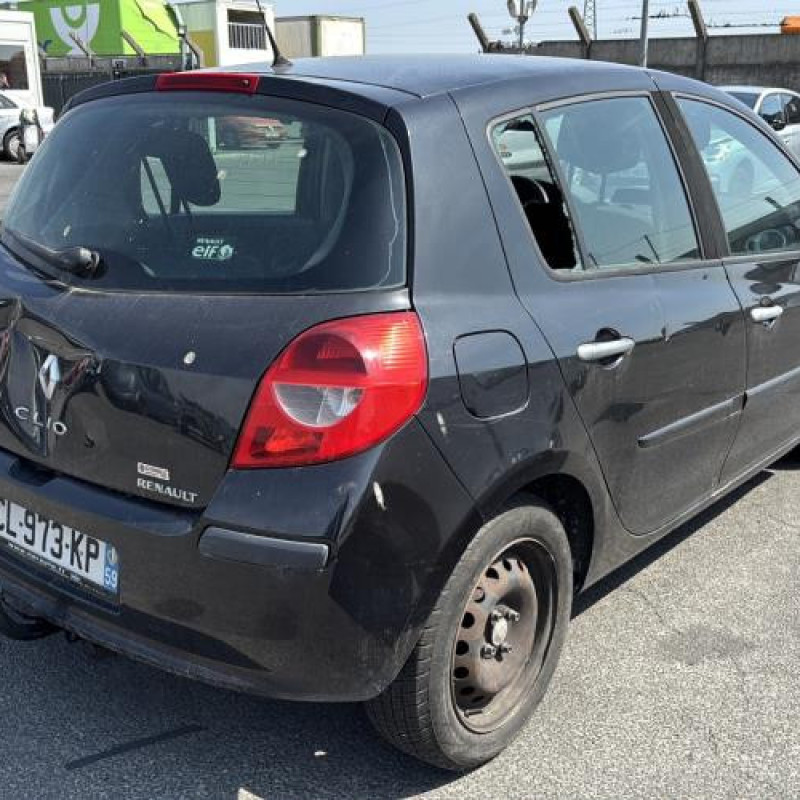 Porte arriere gauche RENAULT CLIO 3 Photo n°8