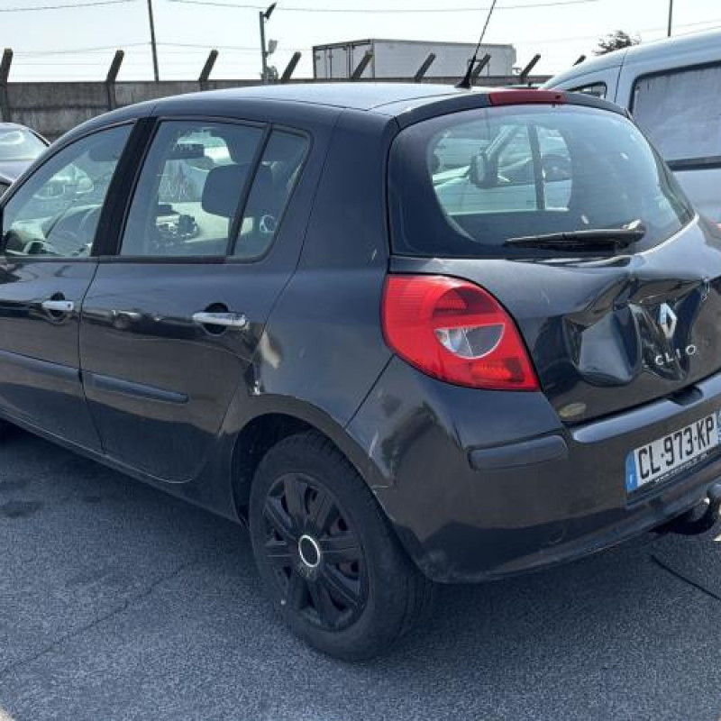 Porte arriere gauche RENAULT CLIO 3 Photo n°9