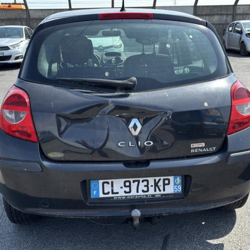 Porte arriere gauche RENAULT CLIO 3 Photo n°10