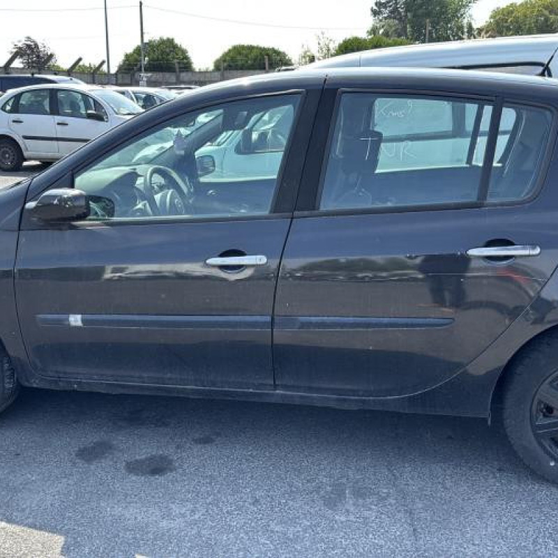Porte arriere gauche RENAULT CLIO 3 Photo n°11