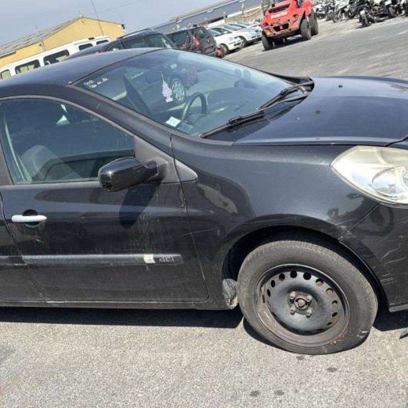 Porte arriere gauche RENAULT CLIO 3 Photo n°12