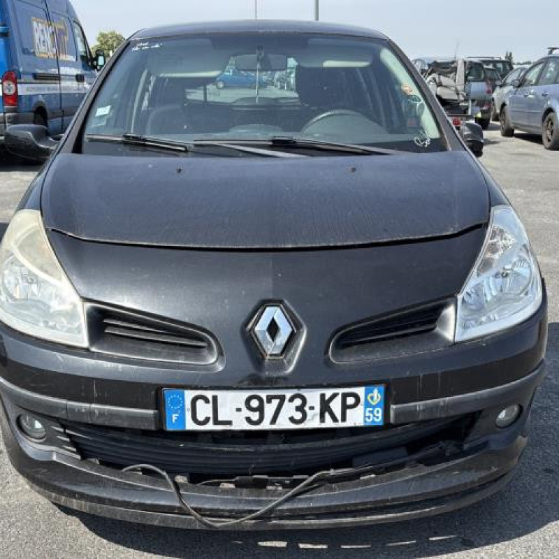 Porte arriere gauche RENAULT CLIO 3 Photo n°13
