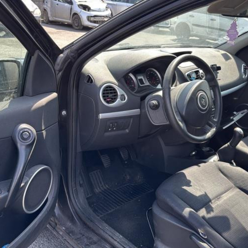Porte arriere gauche RENAULT CLIO 3 Photo n°14