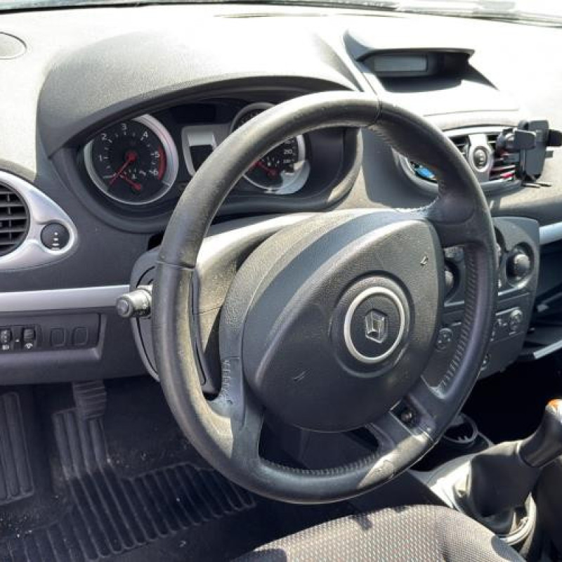 Porte arriere gauche RENAULT CLIO 3 Photo n°16