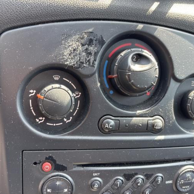Porte arriere gauche RENAULT CLIO 3 Photo n°20