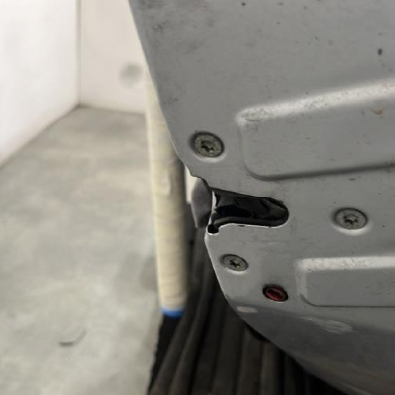 Porte arriere droit PEUGEOT 307 Photo n°3