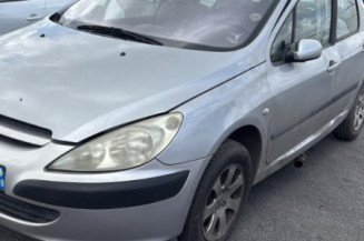 Porte arriere droit PEUGEOT 307