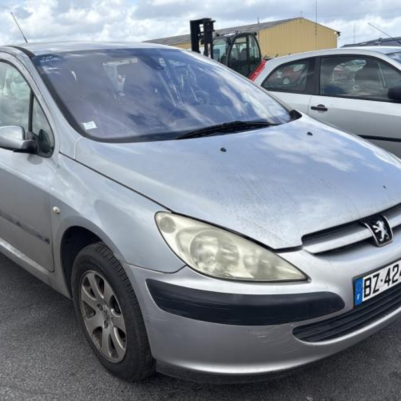 Porte arriere droit PEUGEOT 307 Photo n°8