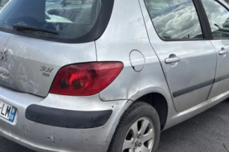 Porte arriere droit PEUGEOT 307