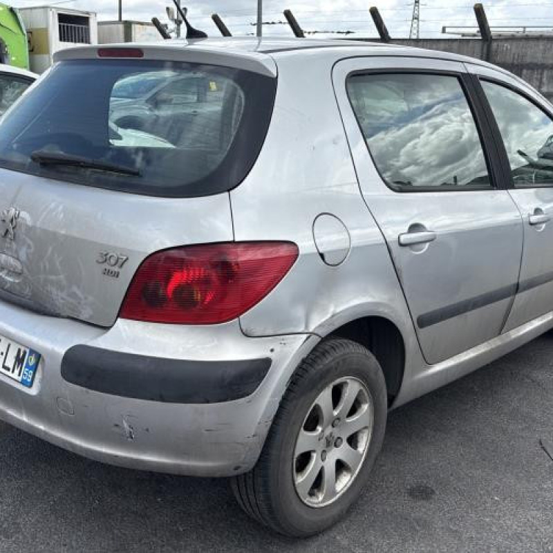 Porte arriere droit PEUGEOT 307 Photo n°9