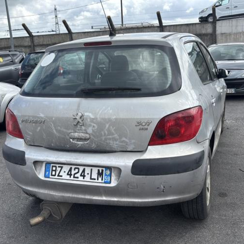 Porte arriere droit PEUGEOT 307 Photo n°11
