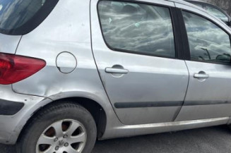 Porte arriere droit PEUGEOT 307