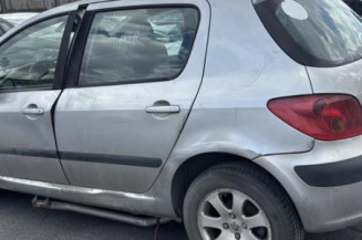 Porte arriere droit PEUGEOT 307
