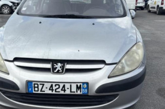 Porte arriere droit PEUGEOT 307