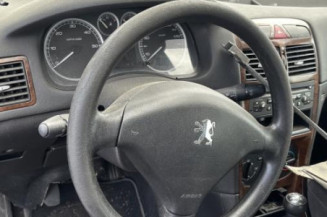Porte arriere droit PEUGEOT 307
