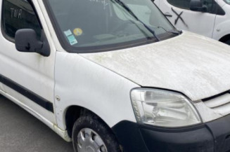 Porte de coffre gauche PEUGEOT PARTNER 1