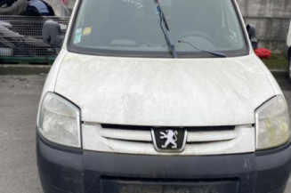 Porte de coffre gauche PEUGEOT PARTNER 1
