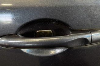 Porte arriere gauche RENAULT MEGANE 3